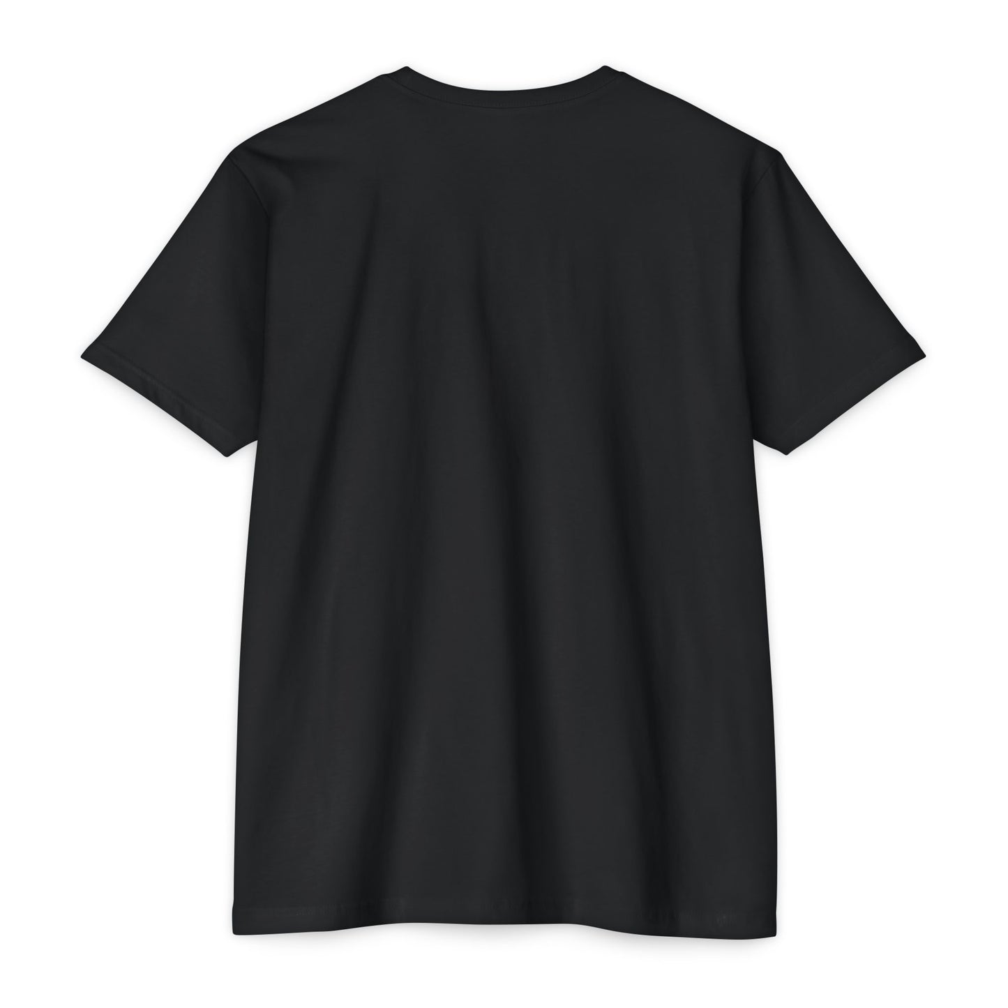 Lightweight Fitted T-Shirt (Unisex)